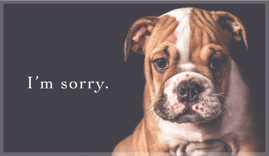 ویروس I'm Sorry: از شوخی اینترنتی تا تهدید امنیتی - راهنمای جامع شناسایی و مقابله