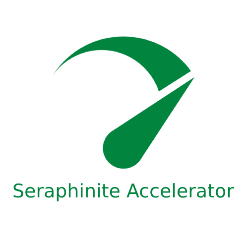افزونه Seraphinite Accelerator - بهینه‌سازی فوق‌العاده سرعت و Core Web Vitals
