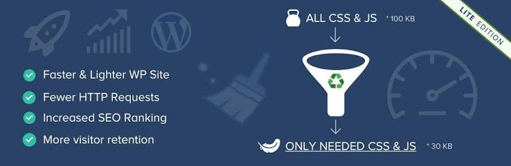 افزونه Asset CleanUp Pro - بهینه‌سازی سرعت با حذف کدهای اضافی CSS و جاوااسکریپت
