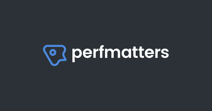 افزونه Perfmatters - بهینه‌سازی فوق‌سبک و حذف محتوای اضافی وردپرس